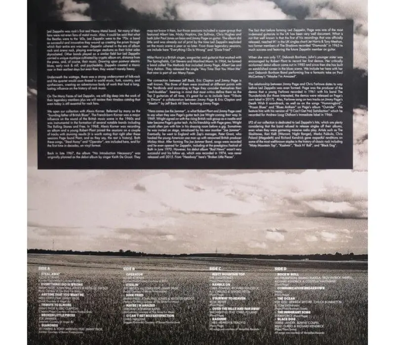 Виниловая пластинка Various Artists - The Many Faces Of Led Zeppelin, Kinodrive.kz — фото 6
