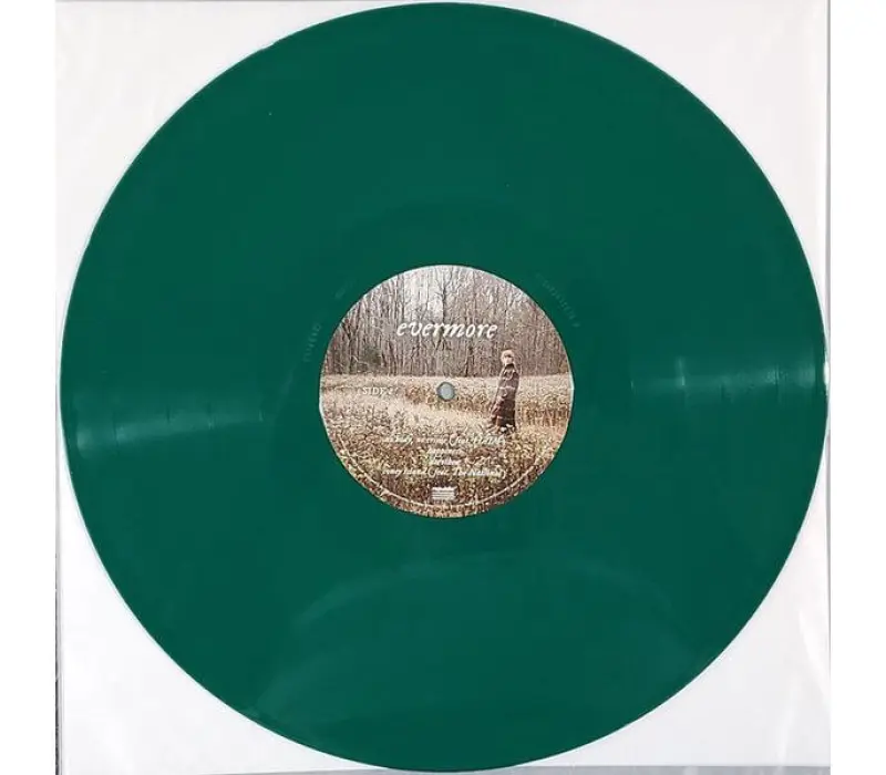 Виниловая пластинка Taylor Swift – Evermore, Kinodrive.kz — фото 8