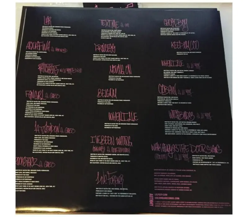 Виниловая пластинка Lil Peep – Everybody's Everything, Kinodrive.kz — фото 7