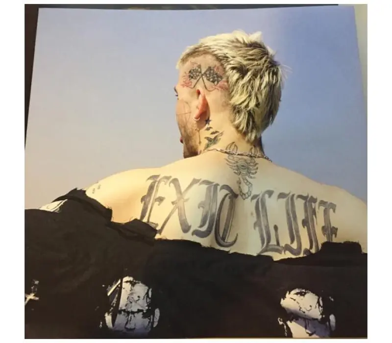 Виниловая пластинка Lil Peep – Everybody's Everything, Kinodrive.kz — фото 8