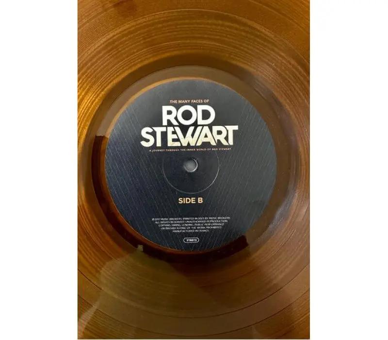 Виниловая пластинка Various Artists – The Many Faces Of Rod Stewart, Kinodrive.kz — фото 6
