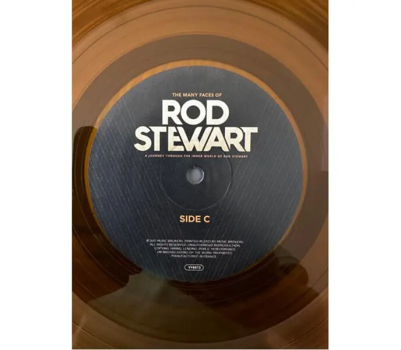 Виниловая пластинка Various Artists – The Many Faces Of Rod Stewart, Kinodrive.kz — фото 7