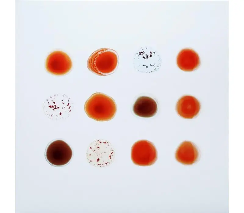 Виниловая пластинка Peter Gabriel – Scratch My Back / And I'll Scratch Yours, Kinodrive.kz — фото 10