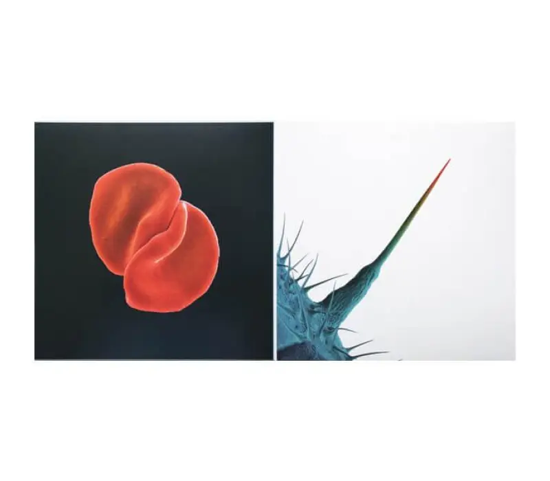 Виниловая пластинка Peter Gabriel – Scratch My Back / And I'll Scratch Yours, Kinodrive.kz — фото 11