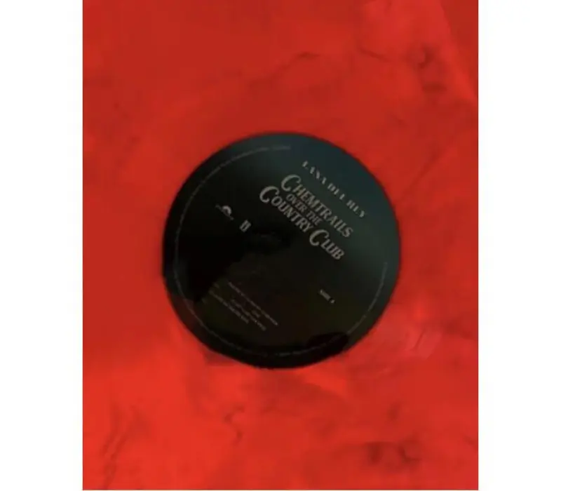 Виниловая пластинка Lana Del Rey – Chemtrails Over The Country Club, Kinodrive.kz — фото 9