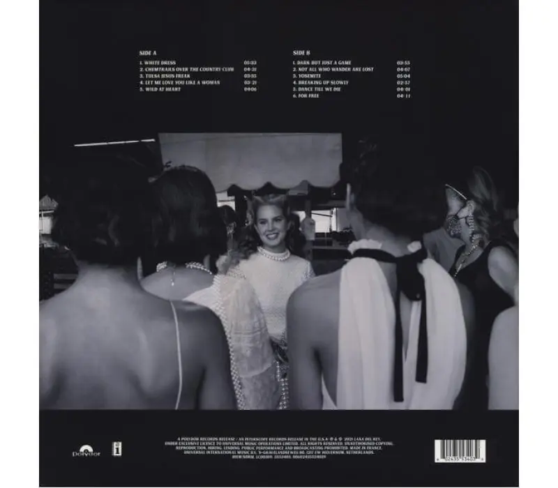 Виниловая пластинка Lana Del Rey – Chemtrails Over The Country Club, Kinodrive.kz — фото 4