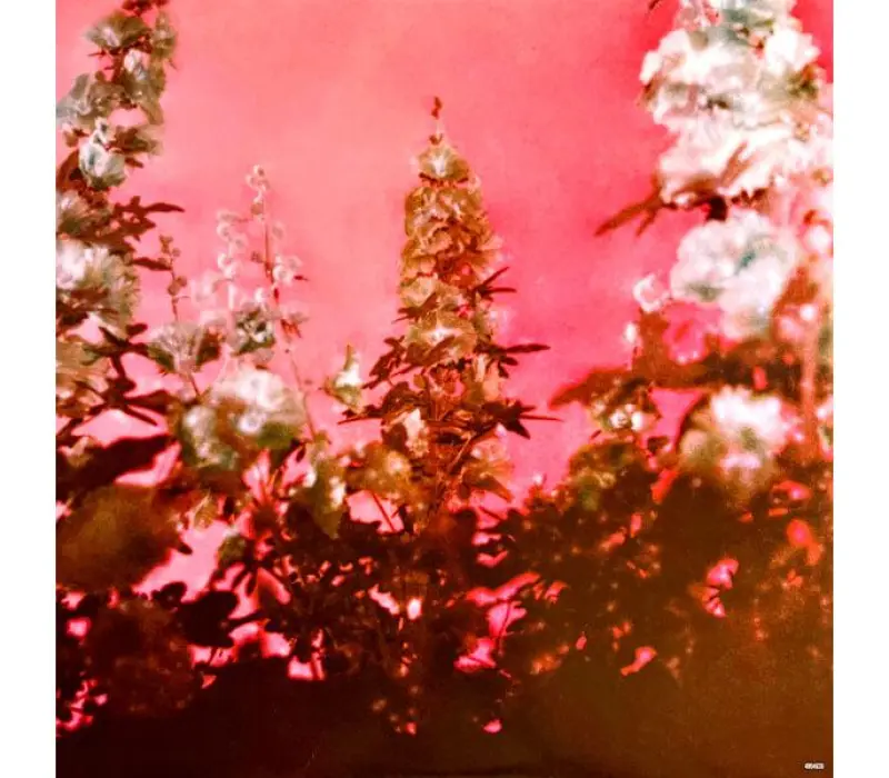 Виниловая пластинка Lana Del Rey – Did You Know That There's A Tunnel Under Ocean Blvd, Kinodrive.kz — фото 10