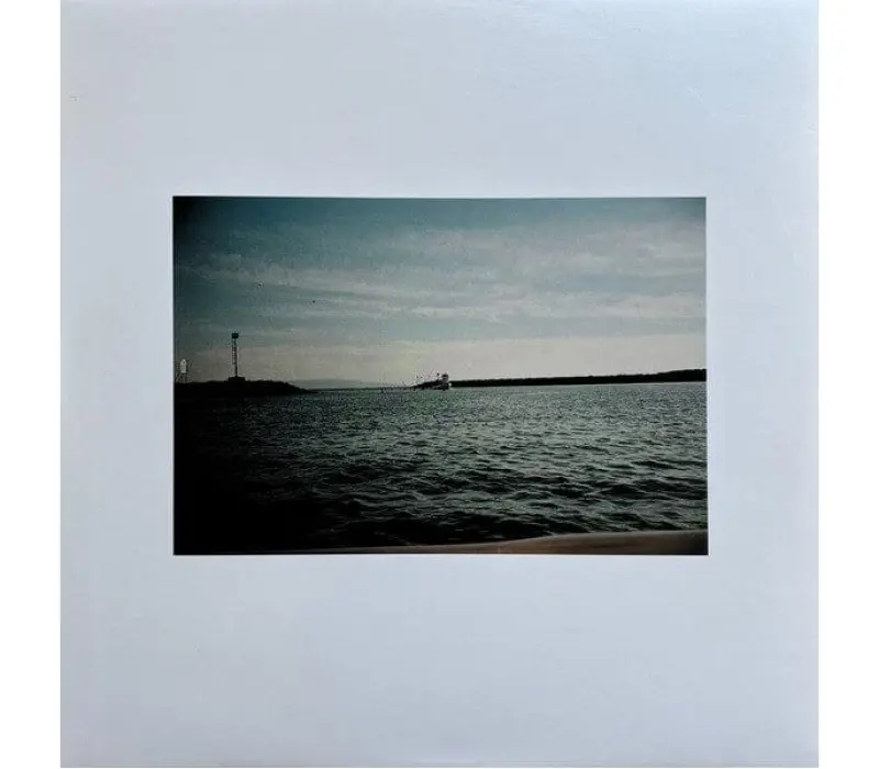 Виниловая пластинка Lana Del Rey – NFR!, Kinodrive.kz — фото 7