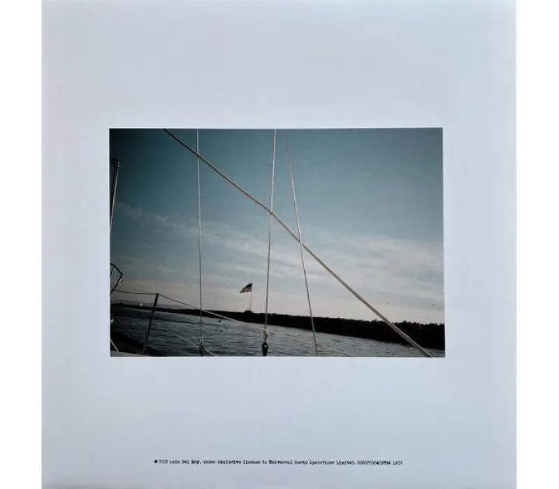 Виниловая пластинка Lana Del Rey – NFR!, Kinodrive.kz — фото 8