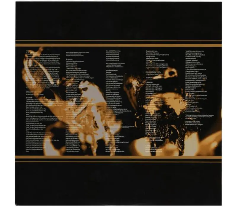 Виниловая пластинка System Of A Down – System Of A Down, Kinodrive.kz — фото 5