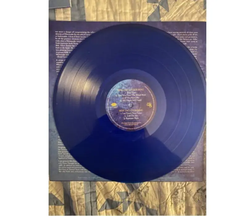 Виниловая пластинка Whitesnake – Still Good To Be Bad, Kinodrive.kz — фото 2