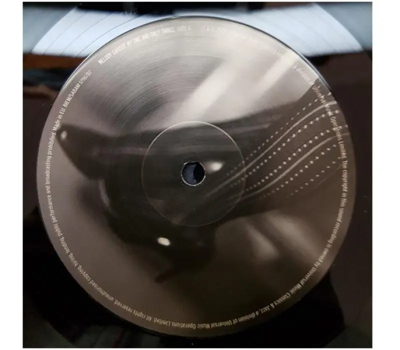 Виниловая пластинка Melody Gardot – My One And Only Thrill, Kinodrive.kz — фото 3