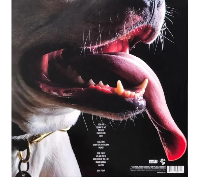 Виниловая пластинка Roger Waters – The Dark Side Of The Moon Redux, Kinodrive.kz — фото 2