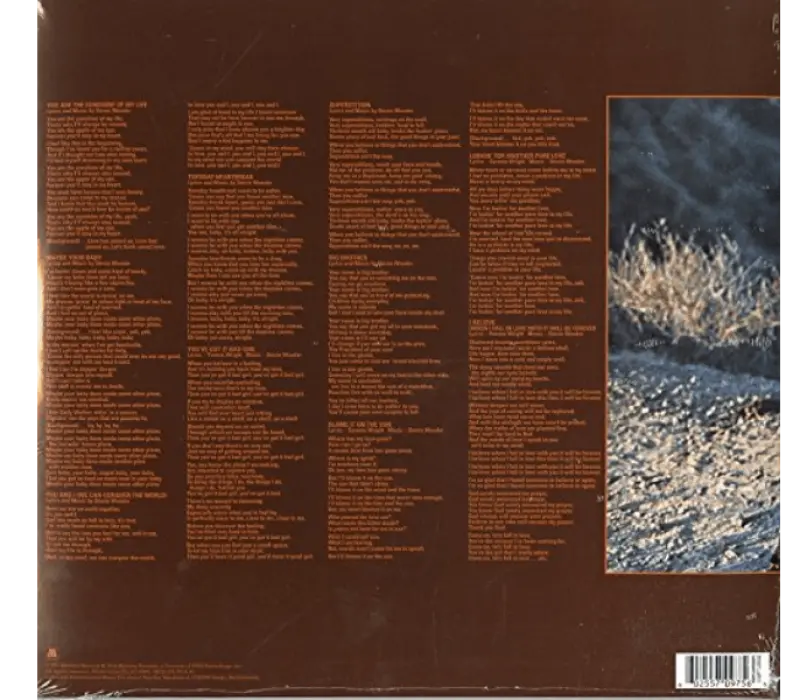 Виниловая пластинка Stevie Wonder – Talking Book, Kinodrive.kz — фото 2