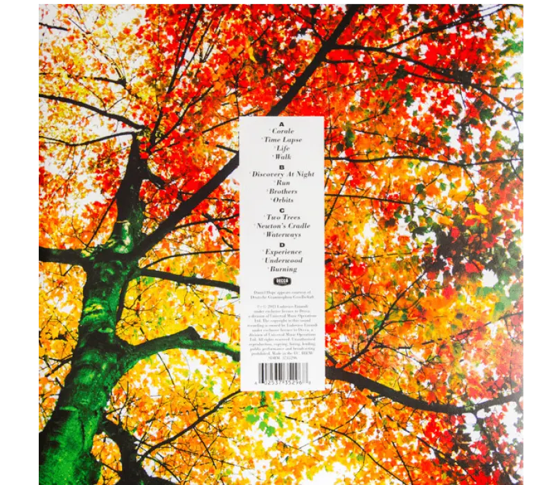 Виниловая пластинка Ludovico Einaudi – In A Time Lapse, Kinodrive.kz — фото 2