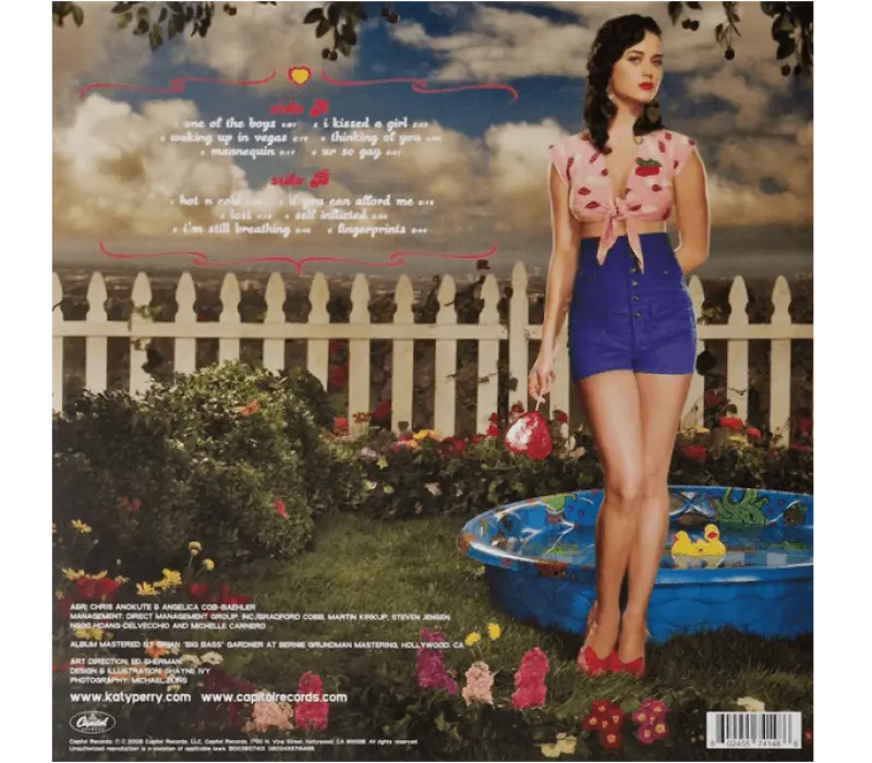 Виниловая пластинка Katy Perry – One Of The Boys, Kinodrive.kz — фото 2