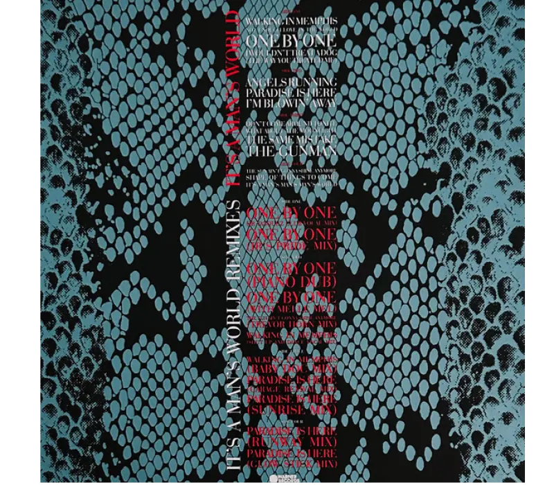 Виниловая пластинка Cher – It's A Man's World, Kinodrive.kz — фото 3