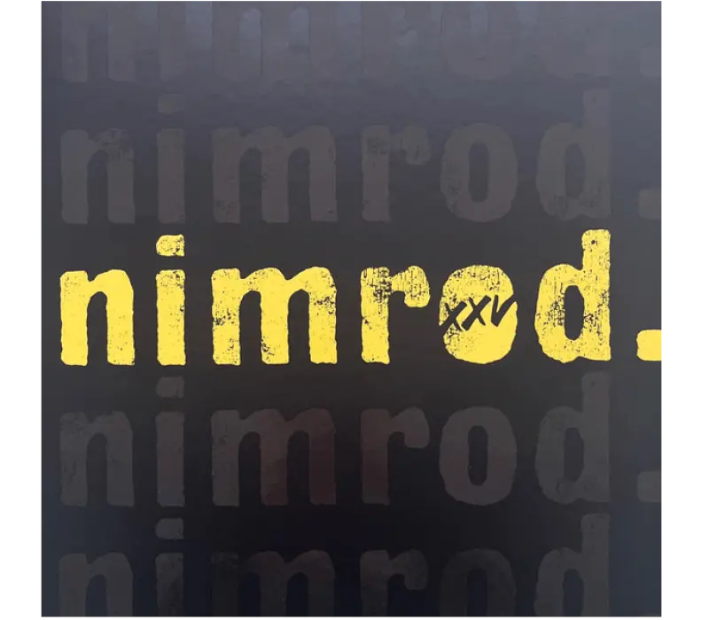 Виниловая пластинка Green Day – Nimrod. XXV, Kinodrive.kz — фото 2