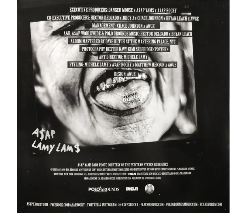 Виниловая пластинка A$AP Rocky – At.Long.Last.A$AP, Kinodrive.kz — фото 2