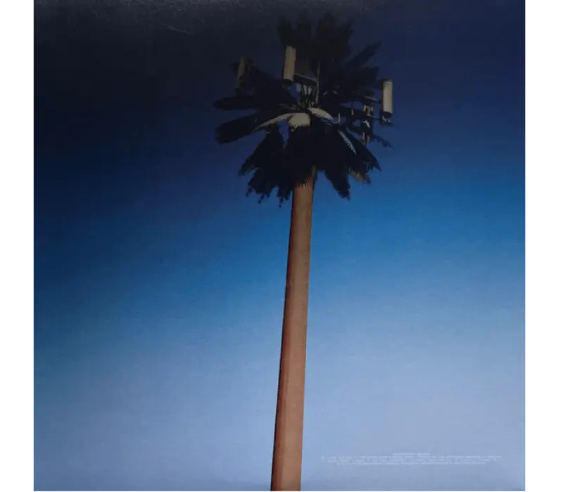 Виниловая пластинка Miley Cyrus – Endless Summer Vacation, Kinodrive.kz — фото 2