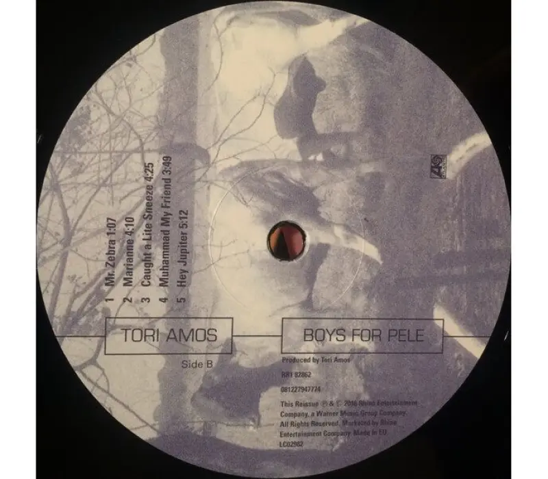 Виниловая пластинка TORI AMOS – Boys For Pele, Kinodrive.kz — фото 11