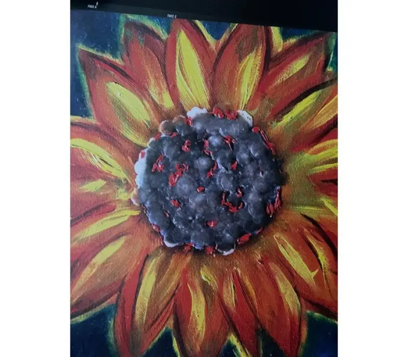 Виниловая пластинка ZAZ – Recto Verso, Kinodrive.kz — фото 3