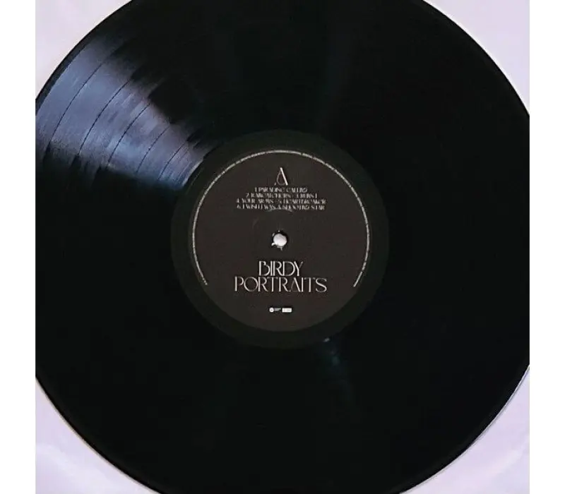 Виниловая пластинка BIRDY - Portraits, Kinodrive.kz — фото 4