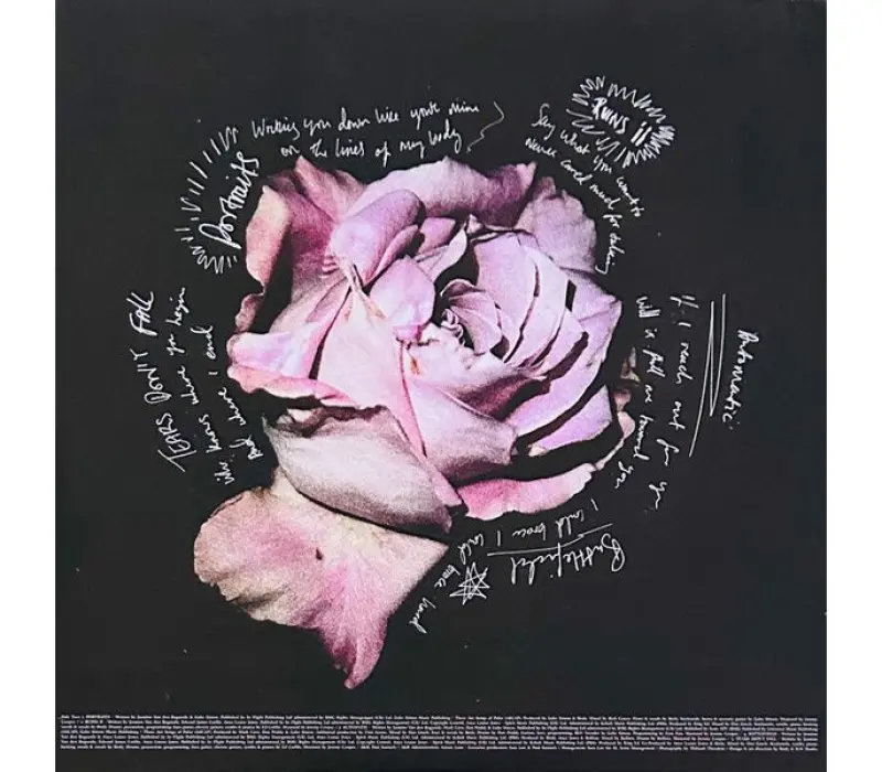 Виниловая пластинка BIRDY - Portraits, Kinodrive.kz — фото 7