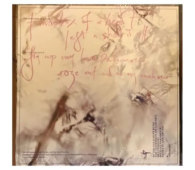 Виниловая пластинка TWINS COCTEAU - Head Over Heels, Kinodrive.kz — фото 5