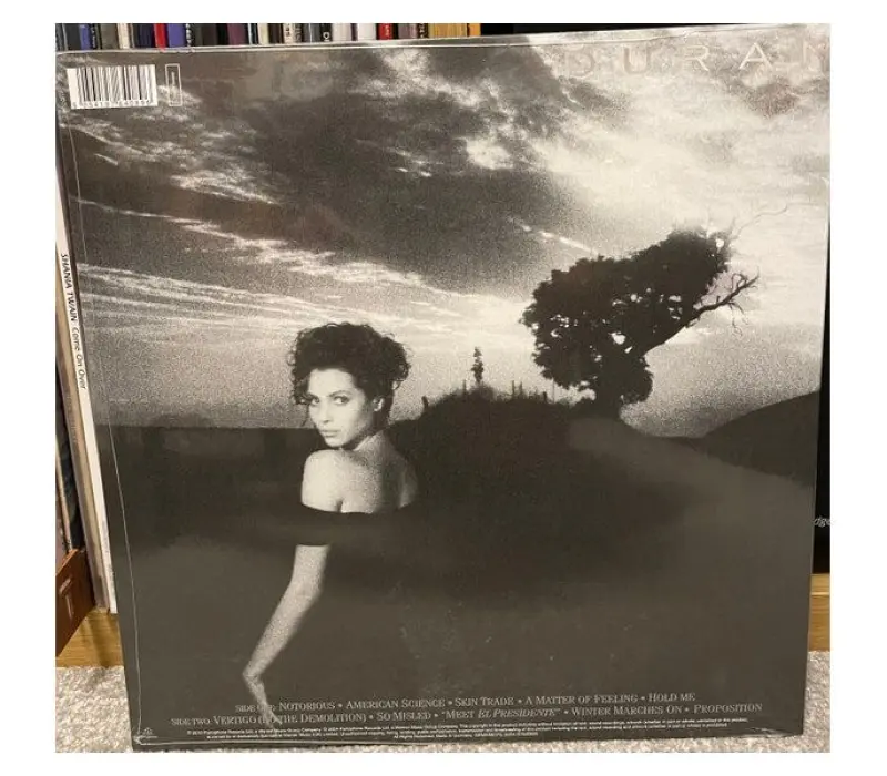 Виниловая пластинка DURAN DURAN – Notorious, Kinodrive.kz — фото 2