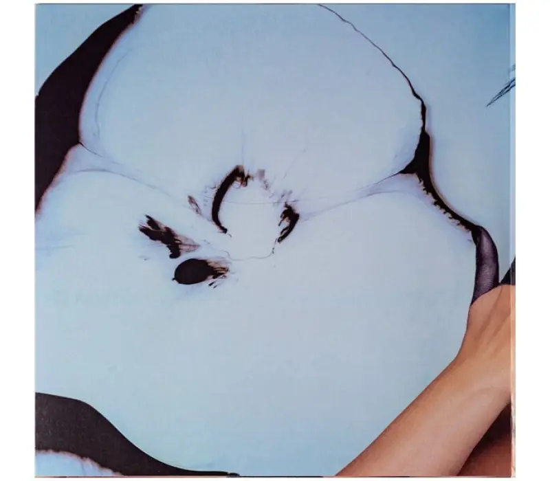 Виниловая пластинка ANNA NETREBKO – Amata Dalle Tenebre, Kinodrive.kz — фото 2