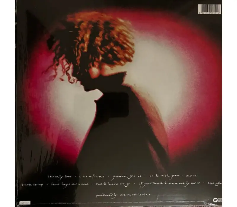 Виниловая пластинка SIMPLY RED – A New Flame, Kinodrive.kz — фото 2