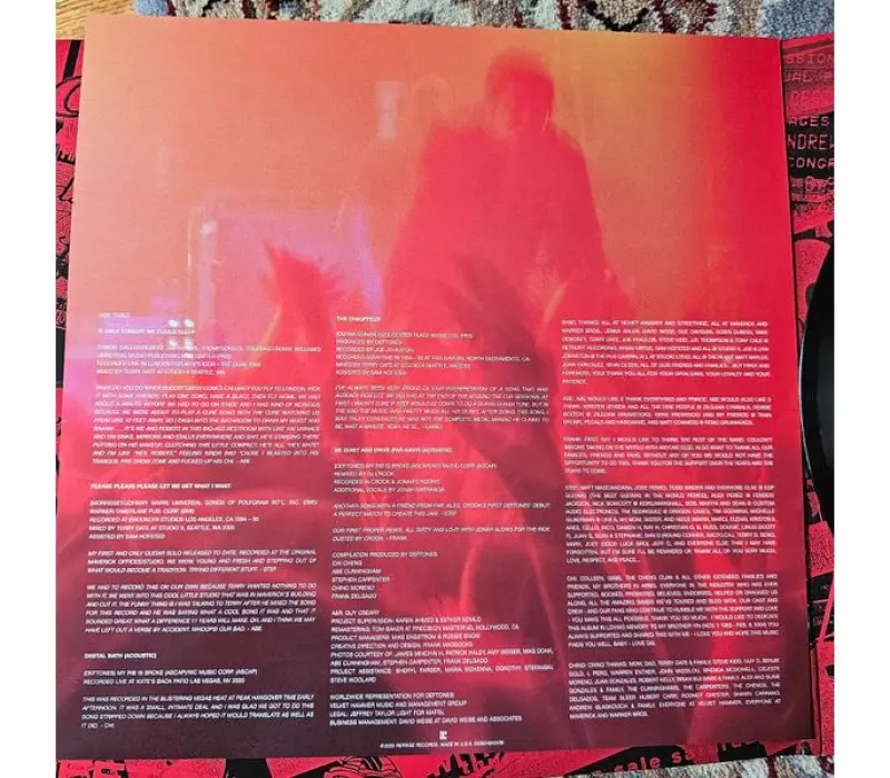 Виниловая пластинка DEFTONES - B-Sides & Rarities, Kinodrive.kz — фото 10