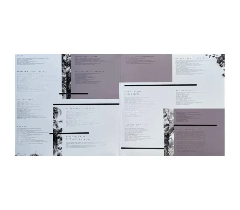 Виниловая пластинка ARIANA GRANDE – My Everything, Kinodrive.kz — фото 5