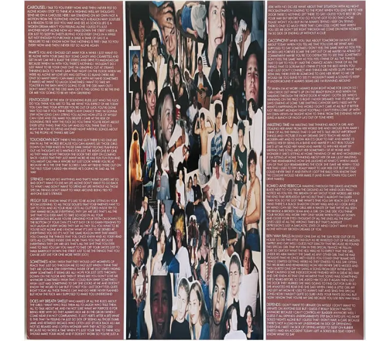 Виниловая пластинка Blink-182 – Cheshire Cat, Kinodrive.kz — фото 2