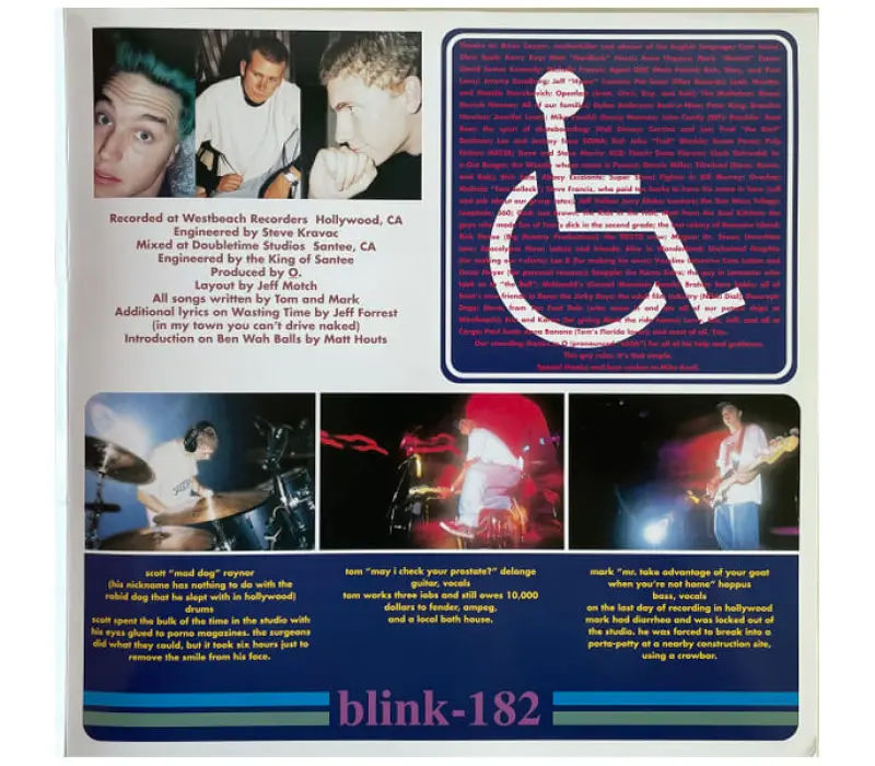 Виниловая пластинка Blink-182 – Cheshire Cat, Kinodrive.kz — фото 3