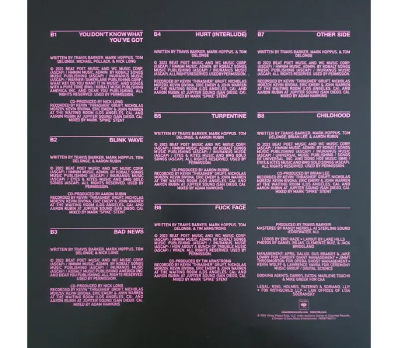 Виниловая пластинка Blink-182 – One More Time..., Kinodrive.kz — фото 2