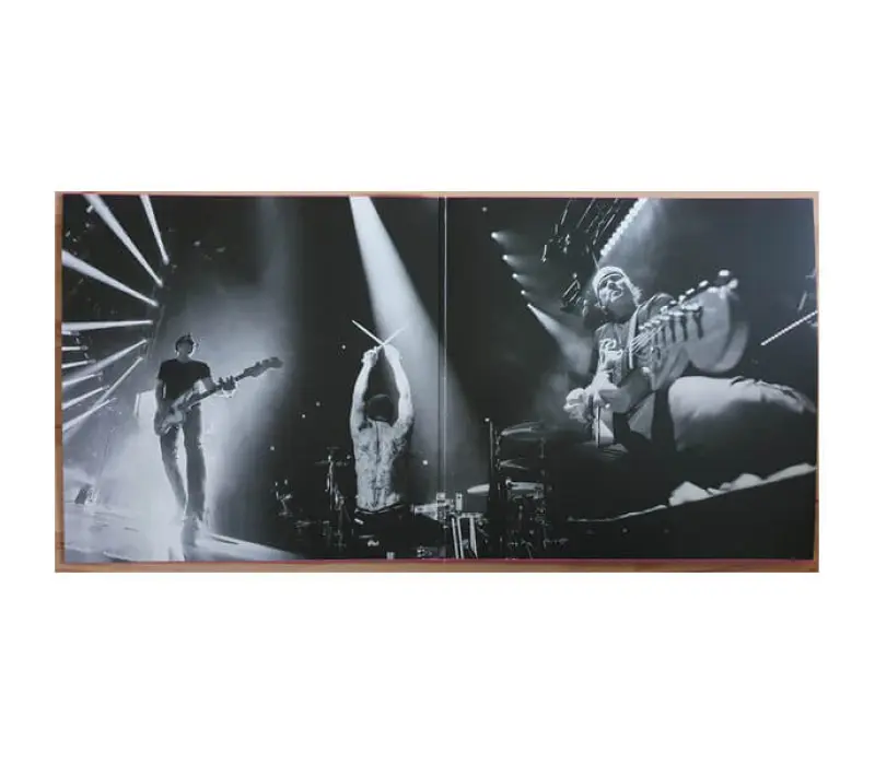 Виниловая пластинка Blink-182 – One More Time..., Kinodrive.kz — фото 5