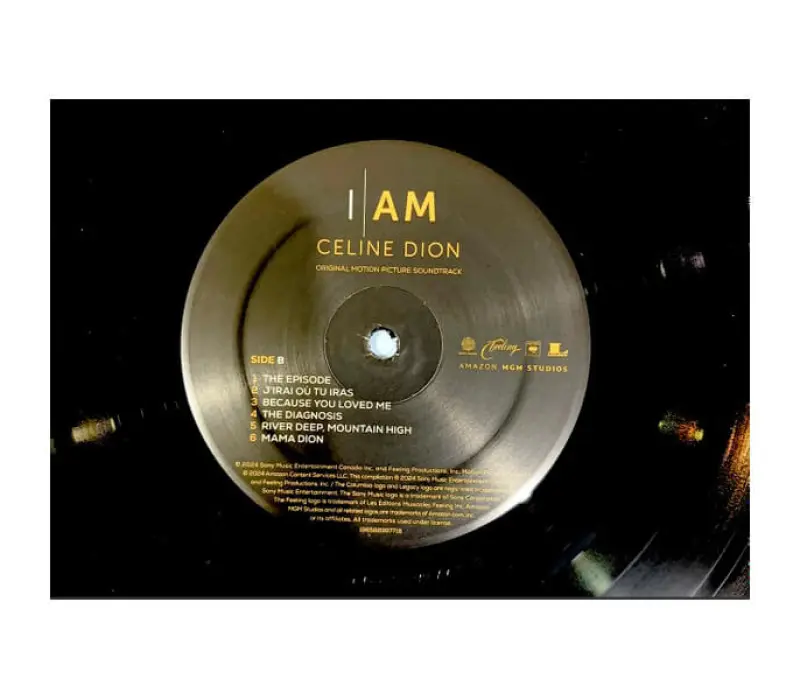Виниловая пластинка Celine Dion – I Am: Celine Dion, Kinodrive.kz — фото 2