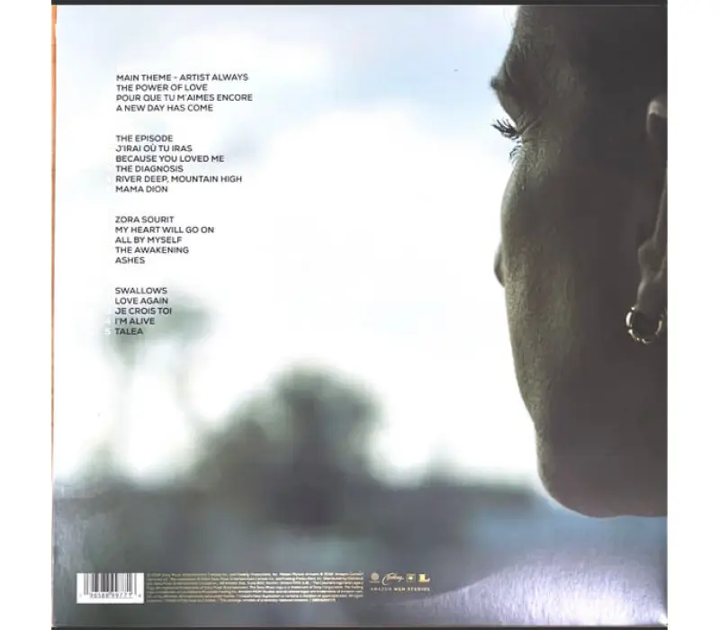 Виниловая пластинка Celine Dion – I Am: Celine Dion, Kinodrive.kz — фото 7