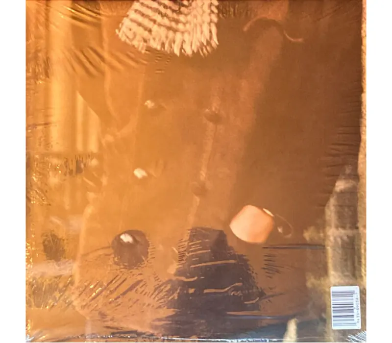 Виниловая пластинка Bob Dylan – Blonde On Blonde, Kinodrive.kz — фото 5