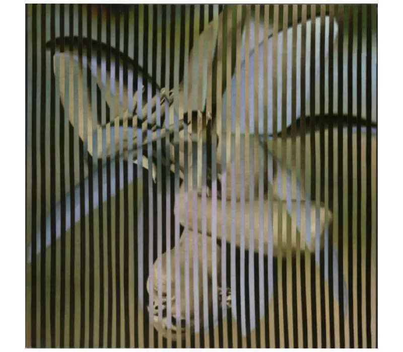 Виниловая пластинка Franz Ferdinand – Always Ascending, Kinodrive.kz — фото 3