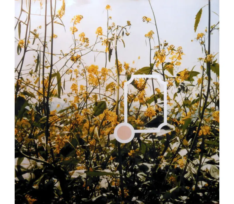 Виниловая пластинка Nelly Furtado – Whoa, Nelly!, Kinodrive.kz — фото 3