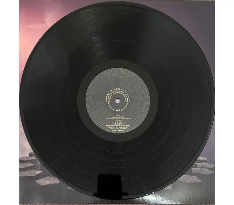 Виниловая пластинка Imagine Dragons – Night Visions, Kinodrive.kz — фото 6