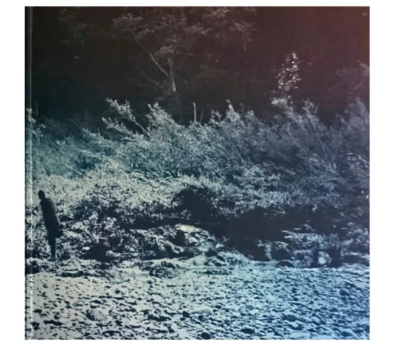 Виниловая пластинка Foals – What Went Down, Kinodrive.kz — фото 2