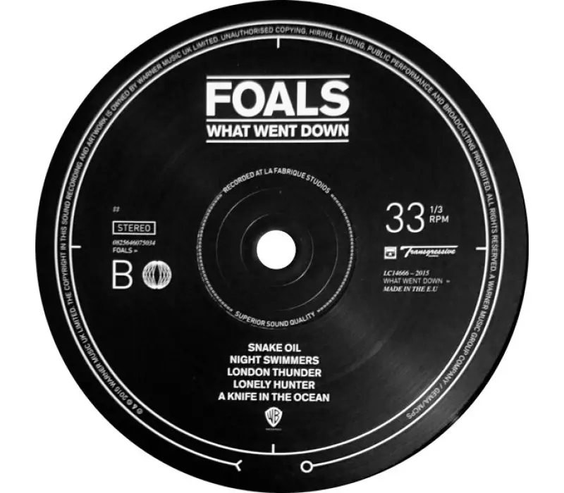 Виниловая пластинка Foals – What Went Down, Kinodrive.kz — фото 3