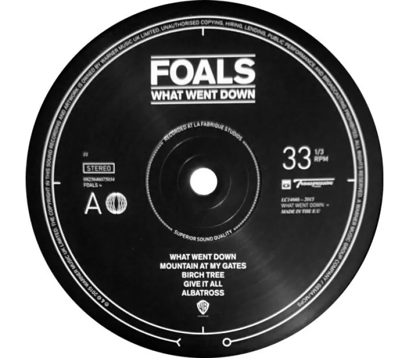 Виниловая пластинка Foals – What Went Down, Kinodrive.kz — фото 4