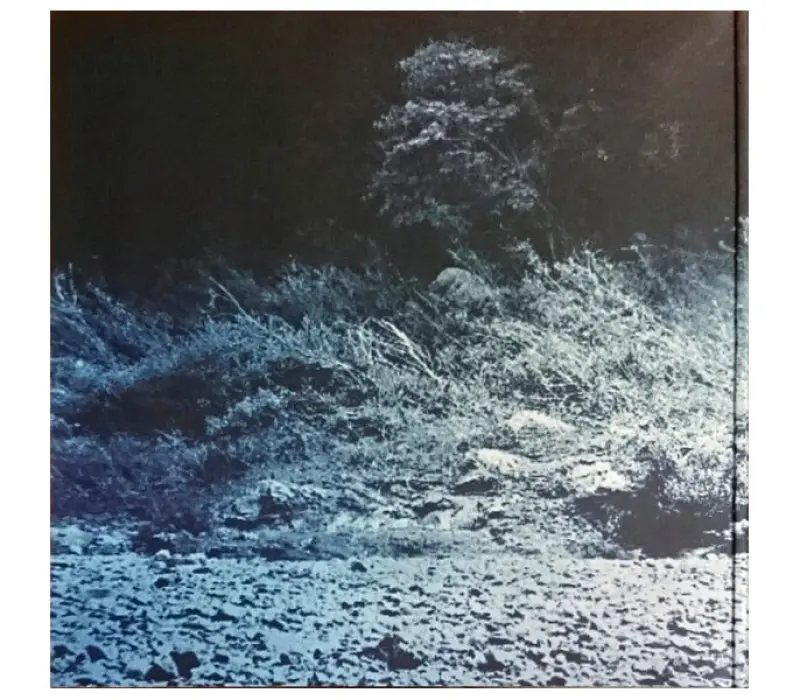 Виниловая пластинка Foals – What Went Down, Kinodrive.kz — фото 5