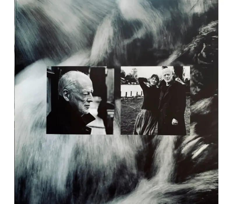 Виниловая пластинка David Gilmour – Luck And Strange (TRANSLUCENT SEA BLUE VINYL), Kinodrive.kz — фото 10