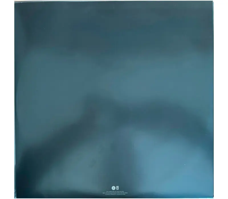 Виниловая пластинка Imagine Dragons – Reflections (LIMITED OCEAN BLUE MARBLED VINYL EDITION), Kinodrive.kz — фото 3